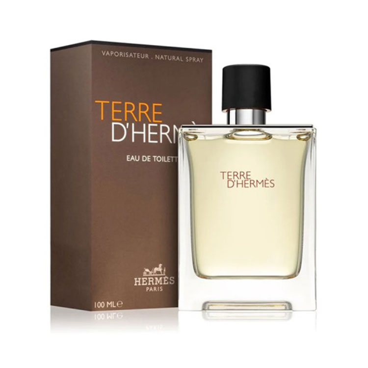 خرید ادو تویلت مردانه HERMES Terre d'Hermes حجم 100 میل
