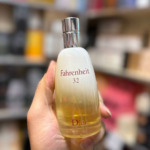 ادو تویلت مردانه اماراتی Dior Fahrenheit 32 حجم 100 میلی لیتر - Image 3